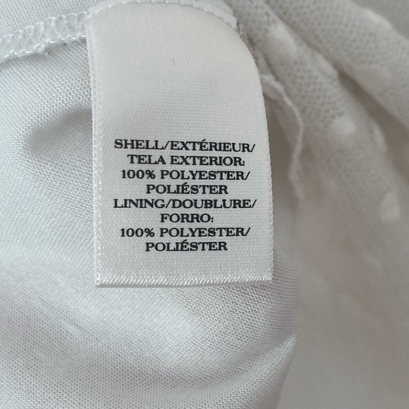 Ann Taylor Swiss Dot Ivory Mesh Blouse Lined 3/4 Sleeves Large - Picture 4 of 7